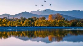 北京图见|千龙图像库一周图片精选（11.4-11.10）