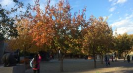 北京111万户农民实现冬季清洁能源取暖