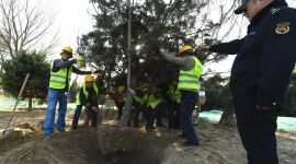 疏解整治促提升|北京来广营腾退汽修厂建绿林