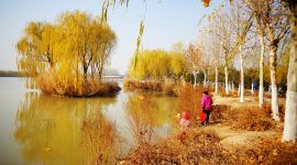 北京图见|秋去冬来 台湖公园美景“框”中收