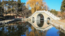 北京图见|初冬漫步圆明园 芦苇瑟瑟正入画