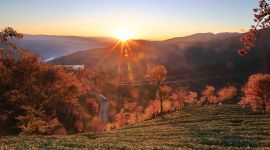 北京图见|千龙图像库一周图片精选（11.24-11.30）