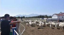 来自首都的支援合作|北京密云“输血”“造血”对口帮扶两旗三县一市