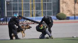 北京反恐特警掀起“冬训”练兵热潮