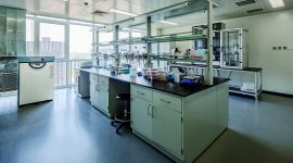 深化改革在行动|北京市将打造世界领先的脑科学研究基地