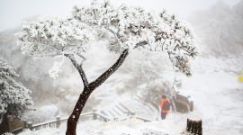 北京图见|千龙图像库一周图片精选（12.1-12.7）