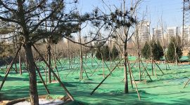 北京十八里店地区新建三个大公园 预计明年开放