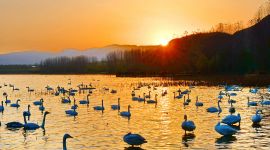 北京图见|千龙图像库一周图片精选（12.9-12.15）