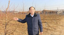 乡村振兴 美丽先行|北京西营村“三位一体”集体经营去年人均年入2.7万