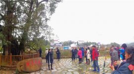 深读新北京|两岸台胞以茶传情谱写融合发展新篇章