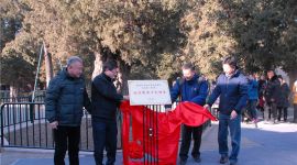 北京“最美十大树王”揭晓 最老一棵3500岁