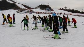 北京千名社区青年周末汇聚莲花山体验滑雪激情