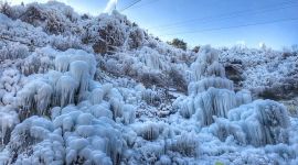 乡村振兴 美丽先行|北京门头沟炭厂村走出一条生态富民之路