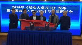 残疾人蓝皮书：科技开启视障者新“视”界