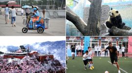 关情2018|千龙图像库今年销量前20名作品是这些