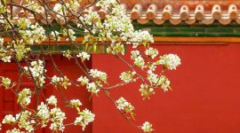 关情2018|这一年，我们的观点