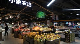 十六区两会|2019年北京丰台“五分钟”便民蔬菜零售网络全覆盖