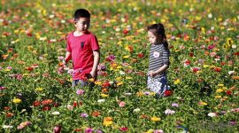 十六区两会|北京25000亩朝南万亩森林公园2019年开建