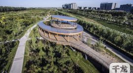 北京大兴将新建三大森林公园 