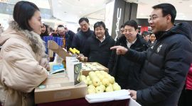 北京门头沟带“特色年货”到西城拜大年