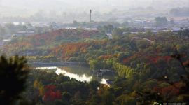 北京今年新增44处公园绿地和城市森林