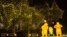 北京图见|三里河彩灯扮靓迎春节