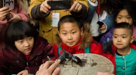 在北京的冰雪温泉欢乐季一起“探秘顺义”