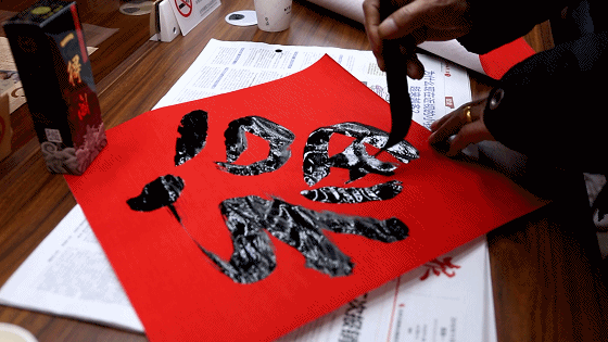 2019新春走基层|北京大兴半壁店村为何又叫“泰迪小镇”