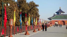 北京图见|天坛公园庆新春 祭天仪仗再现丹陛桥