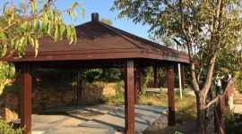 北京平谷“互联网+大桃”工程促进农民增收1.2亿