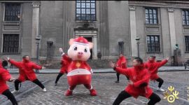 2019“欢乐春节”金猪北欧送福闹新春
