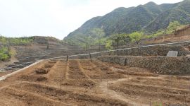 北京落实582个项目帮扶1.8万低收入农户稳定增收