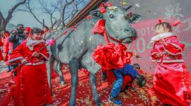 北京市民古观象台“鞭打春牛”迎立春