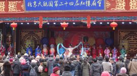 北京大观园红楼庙会上演“元妃省亲”
