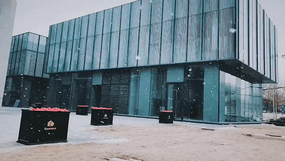 动图新闻|在北京，慢慢地听雪落下的声音