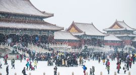 北京图见|去故宫的票，你抢到了吗？