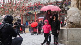 北京图见|下半场瑞雪如约而至，邀你一起到“白头”