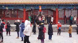 北京图见|八万人故宫赏春雪 紫禁城里欢声笑语