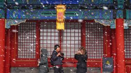 看见|雪“情”人醉