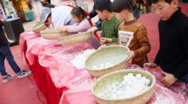 我们的节日·元宵|在百亩热带雨林中过节是一种怎样的体验