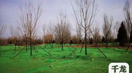 疏解整治促提升|北京怀柔城市绿地超两千公顷