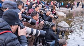 北京图见|初春玉渊潭 长枪短炮只为你！