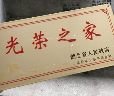 武汉被温暖故事点亮水滴筹汇聚10万爱心助新生儿渡过危险期