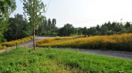 北京房山：昔日“散乱污”变身居民休闲公园