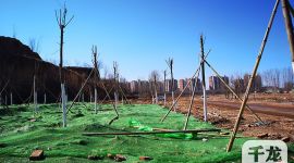 北京平谷预计2019年全年将拆违120万平方米