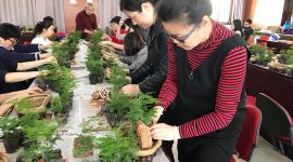 栽盆景、制香囊 北京安贞街道百名女同志“巧手”过节