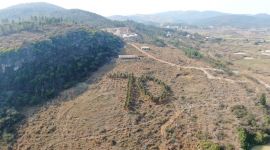 500余志愿者在革命老区种下“70”字样红叶石楠