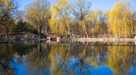 北京图见|初春圆明园 美丽如诗画