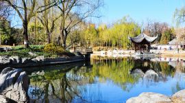 北京图见|春天来了！北京八大赏春地芬芳你的周末