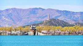 北京图见|颐和园春色满园关不住